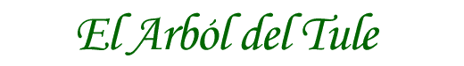 El arb&oacute;l del Tule