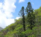 Photo 01