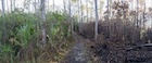 Photo 04