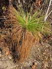 Photo 06