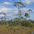 Photo 07