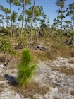 Photo 09