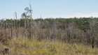Photo 02