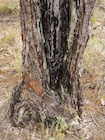 Photo 07