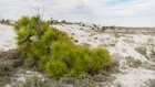 Photo 08