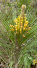 Photo 04