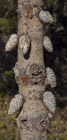 Photo 09