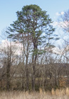 Photo 05