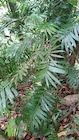 Photo 04