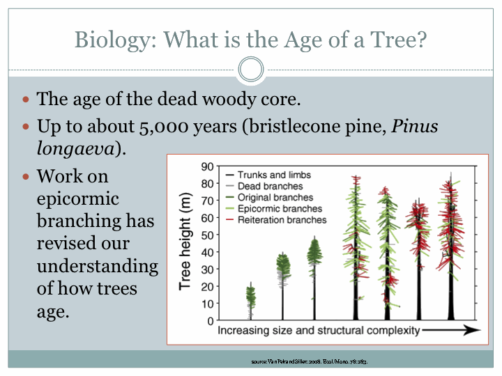 Lifespan Of Trees Chart