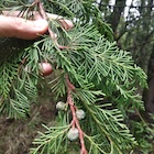 Photo 02