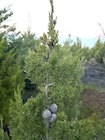 Photo 03