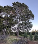 Photo 06