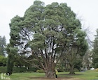 Photo 07