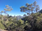 Photo 08