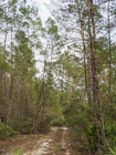 Photo 07