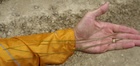 Photo 01