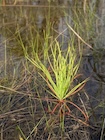 Photo 03