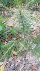 Photo 03