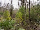 Photo 06