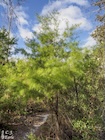Photo 09