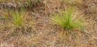 Photo 05