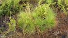 Photo 03
