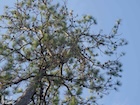 Photo 07
