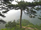 Photo-10