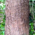 Photo-02