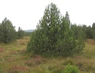 Photo 01