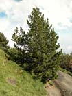 Photo 01