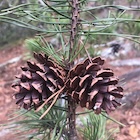 Photo 08