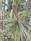 Photo 02