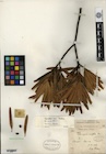 Photo 01