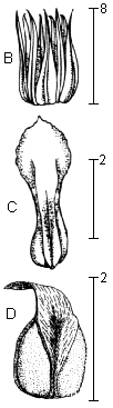 line drawing