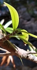 Photo 02