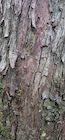 Photo 03