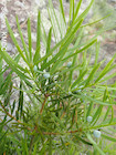 Photo 01