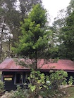 Photo 01