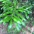 Photo 02