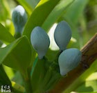 Photo 01