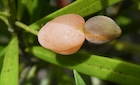 Photo 01