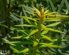 Photo 04