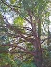 Photo 01